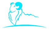 周口市通用鼓風(fēng)機(jī)有限公司