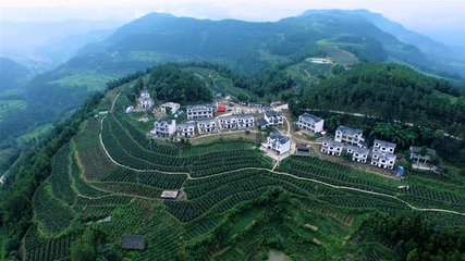 1546867167314800.jpg 2.jpg