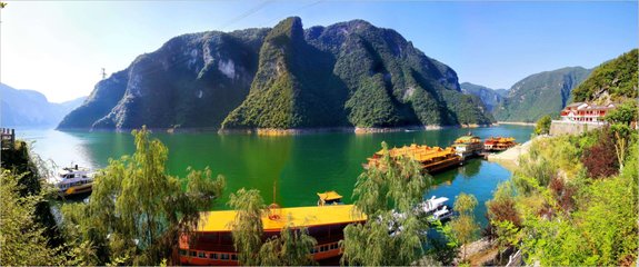 1547427866959959.jpg 1.jpg