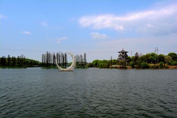 1547429020538690.jpg 1.jpg