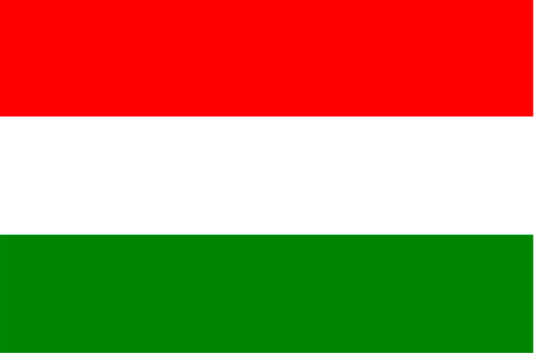 1709165589338441.png 匈牙利語(yǔ)翻譯.png